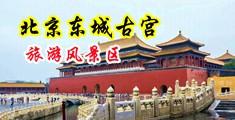 丝袜美腿口交美女中国北京-东城古宫旅游风景区